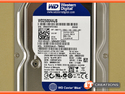 DELL 250GB 7.2K RPM SATA 3.5 INC HARD DRIVE (DUAL LABEL / DELL / WESTERN DIGITAL) preview image #1